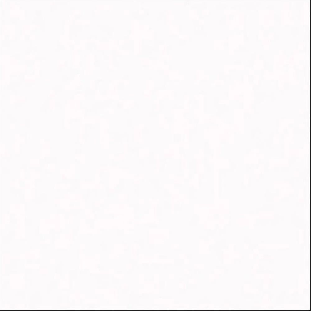 PISO 2,62 54X54 RIVIERA BRANCO MATE